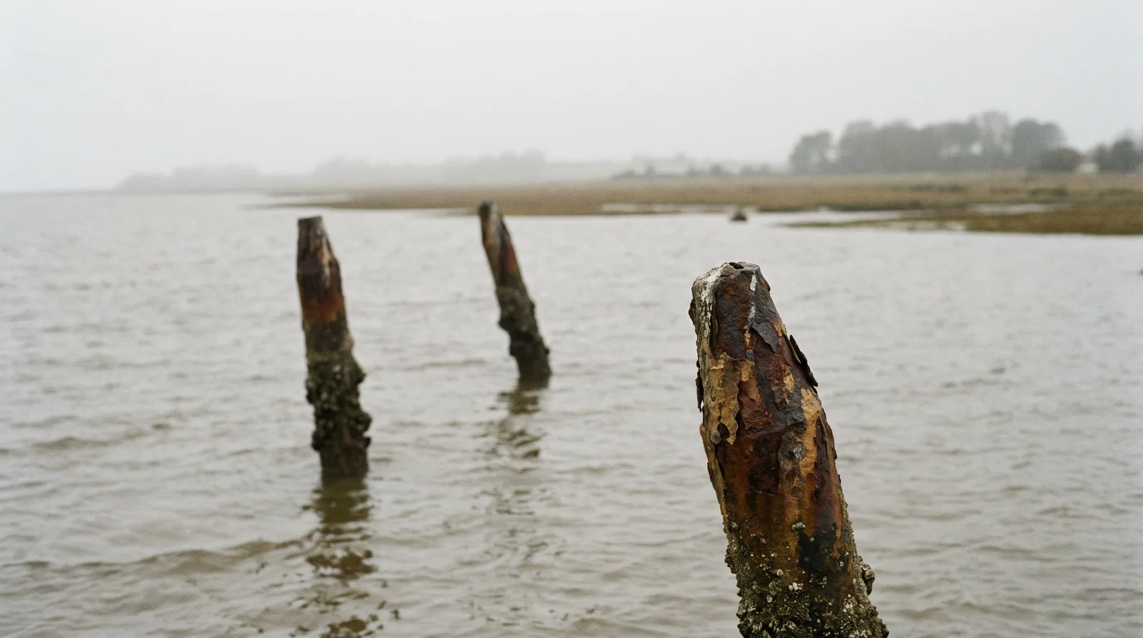 Restos de acero corroído de un buque hundido sobresalen del agua gris y poco profunda de un estuario, con una costa baja difuminada al fondo.