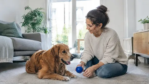 ¿Quién responde si otra persona cuida de mi perro?