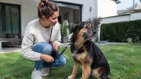 ¿Cómo doy de baja el seguro de responsabilidad civil de mi perro?