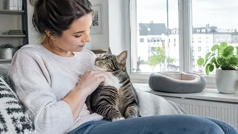 ¿Merece la pena un seguro de salud para un gato de interior?
