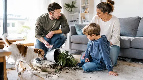 Responsabilidad civil individual o familiar: ¿cuál le conviene?