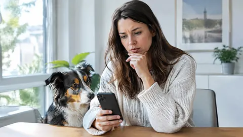 ¿Cómo dar de baja el seguro de salud de su mascota?