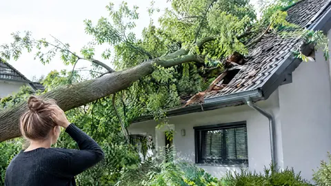 ¿Quién paga si un árbol cae sobre mi casa?