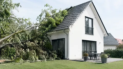 ¿Qué cubre el seguro de continente de su vivienda?