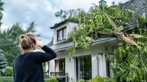 ¿Desde qué velocidad de viento paga el seguro por daños del temporal?