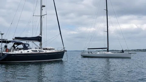 Seguro de velero performance
